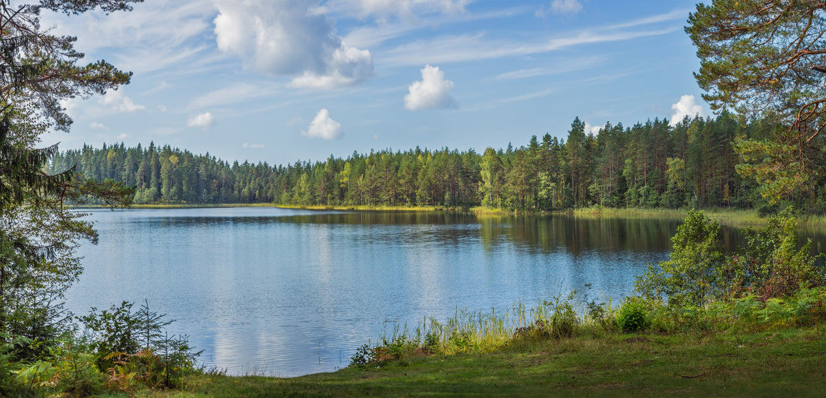 Small Water Bodies