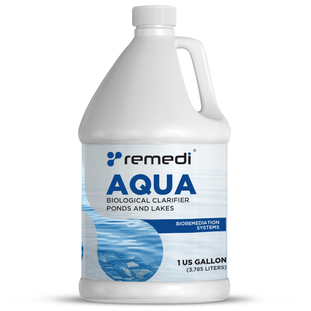 Aqua