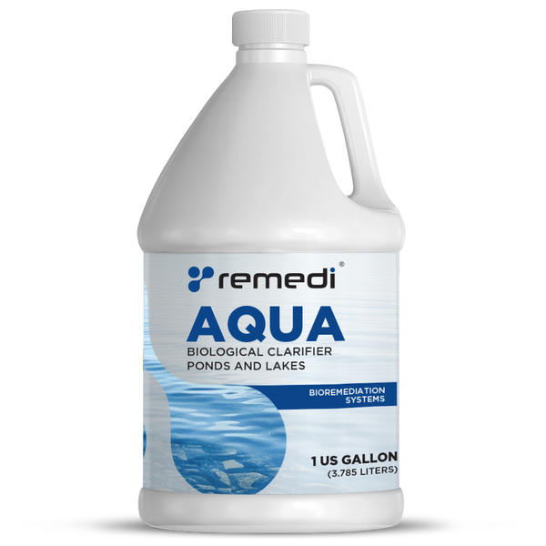 Aqua