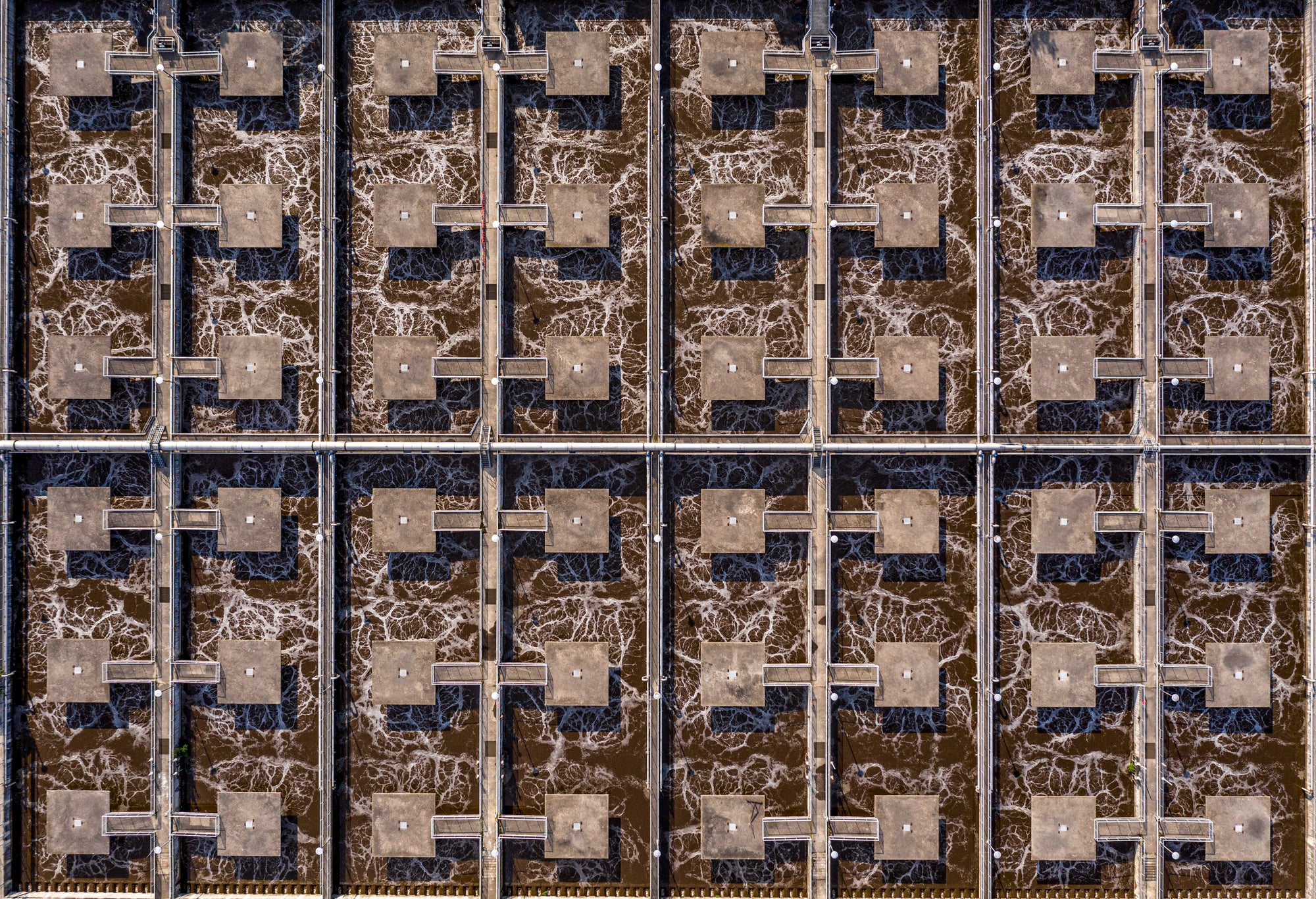 Bio Remediation (Small Scale)